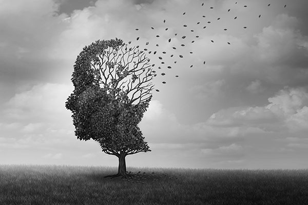 The Top Ten Myths About Alzheimer’s Disease