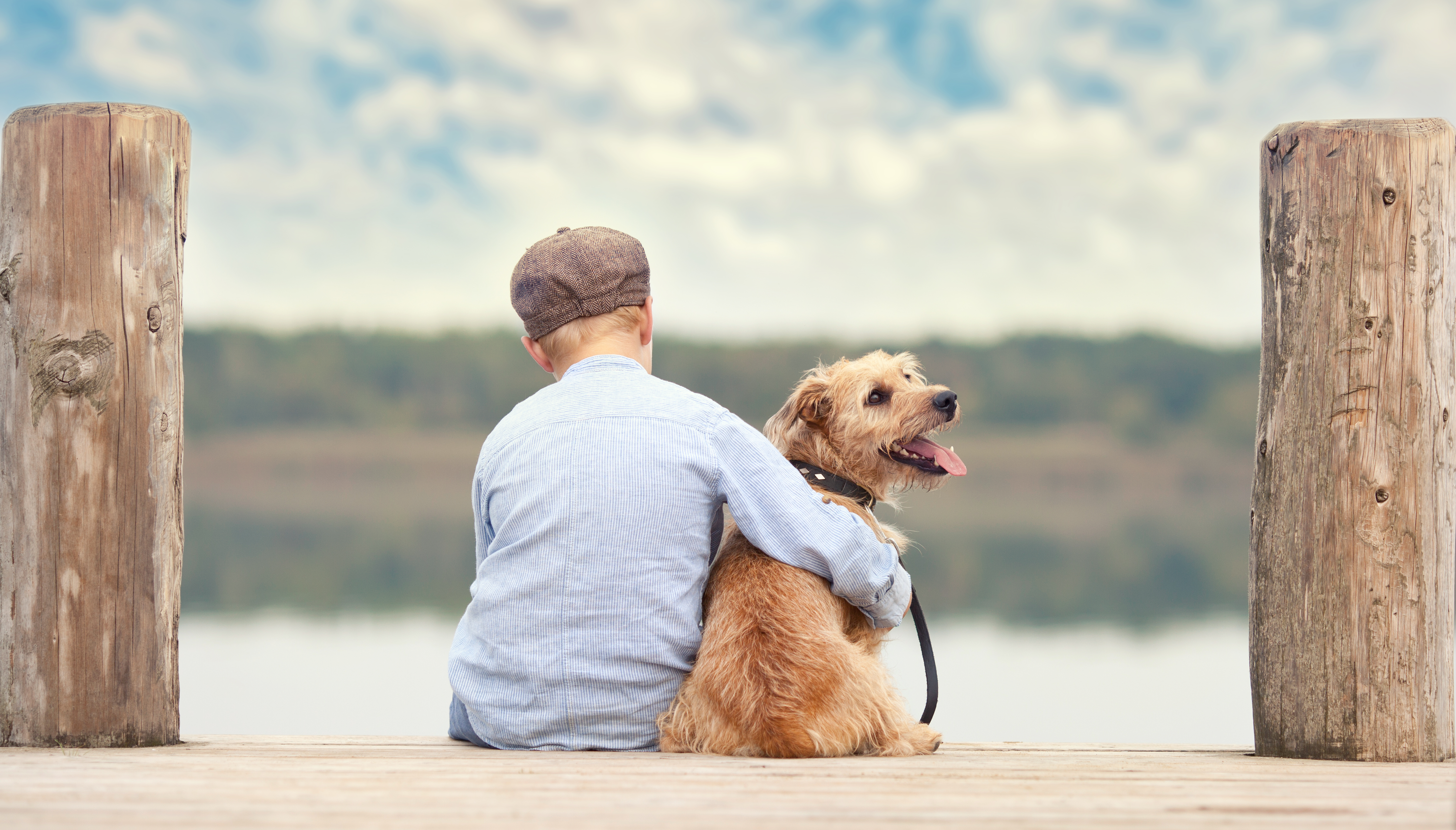Trusts for Pets