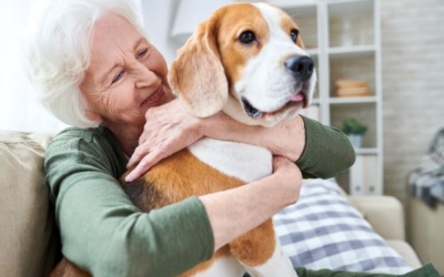 The Benefits of Pet Trusts