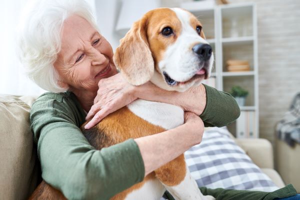 The Benefits of Pet Trusts